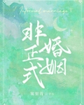 非正式婚姻小说免费阅读