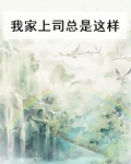 我家上司又挂了阅读