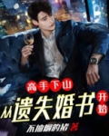 高手下山：从遗失婚书开始