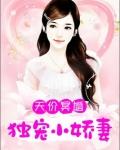 天价独宠闪婚有爱免费阅读
