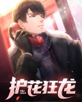 护花狂龙易军小说免费下载