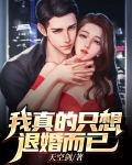 我真的只想退婚而已免费阅读全文最新