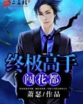 终极高手闯花都 萧瑟