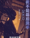 美漫之我不是幕后黑手