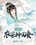 穿越成农家种田女兰心的小说