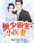 顾少霸宠小医妻