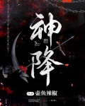 神降(全息)完结了吗