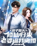 浪子回头:修仙归来,老婆逼我离婚
