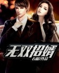 无双贽婿