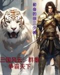 三国风云：群雄争霸天下