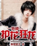 特种护花狂龙暗黑君主