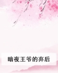 暗夜王爷的弃后