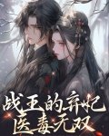 战王的弃妃医毒无双