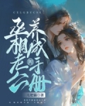 丞相养妻手册