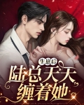 结婚后陆生天天粘的我