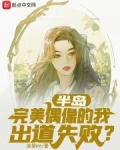 完美偶像解析