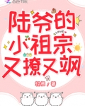 陆爷的小祖宗又撩又飒