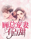 霸道总裁宠妻狂魔