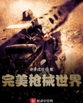 完美枪械世界 小说