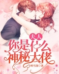 夫人,你是什么神秘大佬TXT下载