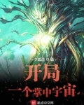 开局一个掌中宇宙百度百科