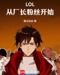lol之冠军系统