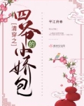 清穿之四爷的小娇包