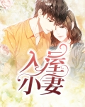 小妻入梦来全文免费阅读