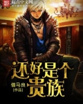 还好是个贵族小说