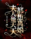 夫人她天天都想离婚全文免费