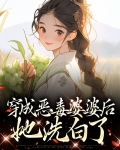 穿成恶毒婆婆后她洗白了小说