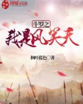 小说斗罗之我是风笑天