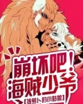 海贼之崩坏系统