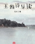 王维的讲解
