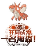 宝可梦：我的精灵全员恶人！