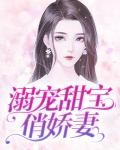 溺宠甜宝俏娇妻
