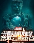 盗墓:开局奖励真龙血脉,踏平云南虫谷飞卢小说网