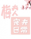 梅夫人宠夫日常txt百度网盘