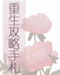 重生攻略手札晋江