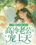 七零：被迫换亲后，高冷老公宠上天