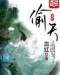 偷天