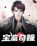 神瞳宝鉴 小说