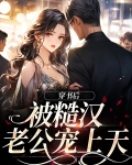 穿书后被糙汉老公宠上天