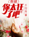 赘婿太好笑了