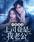 我的上司竟是闪婚对象
