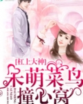 杠上大神:呆萌菜鸟撞心窝 沂言