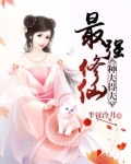 最强修仙:种夫得夫