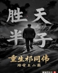 重生祁同伟，踏雪至山巅