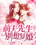 前夫先生别想复婚结局是什么