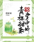 宠妻青云路